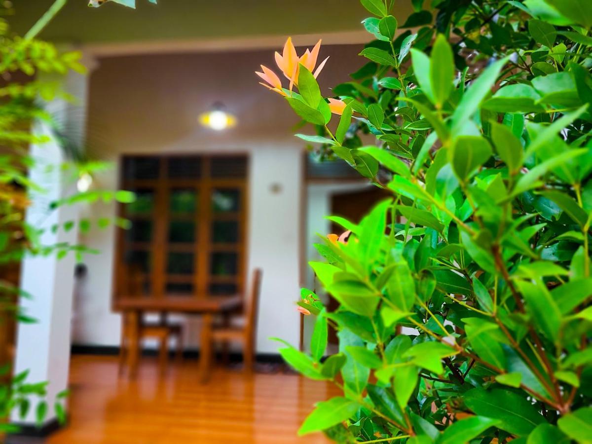 Woodholic Homestay Сігірія Екстер'єр фото