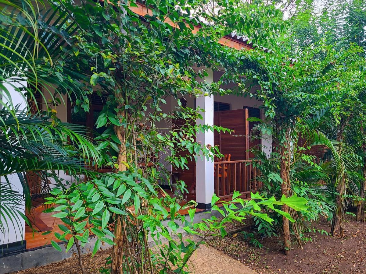 Woodholic Homestay Сігірія Екстер'єр фото