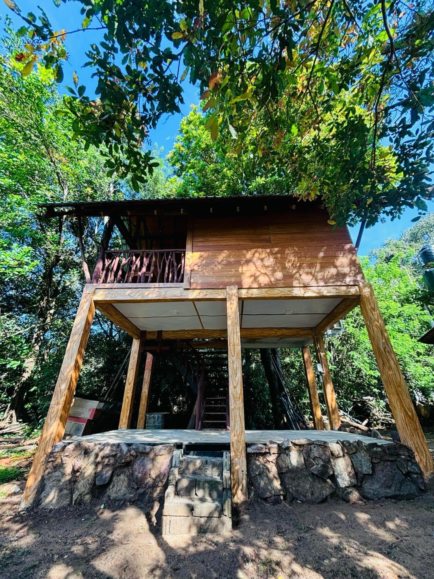 Woodholic Homestay Сігірія Екстер'єр фото